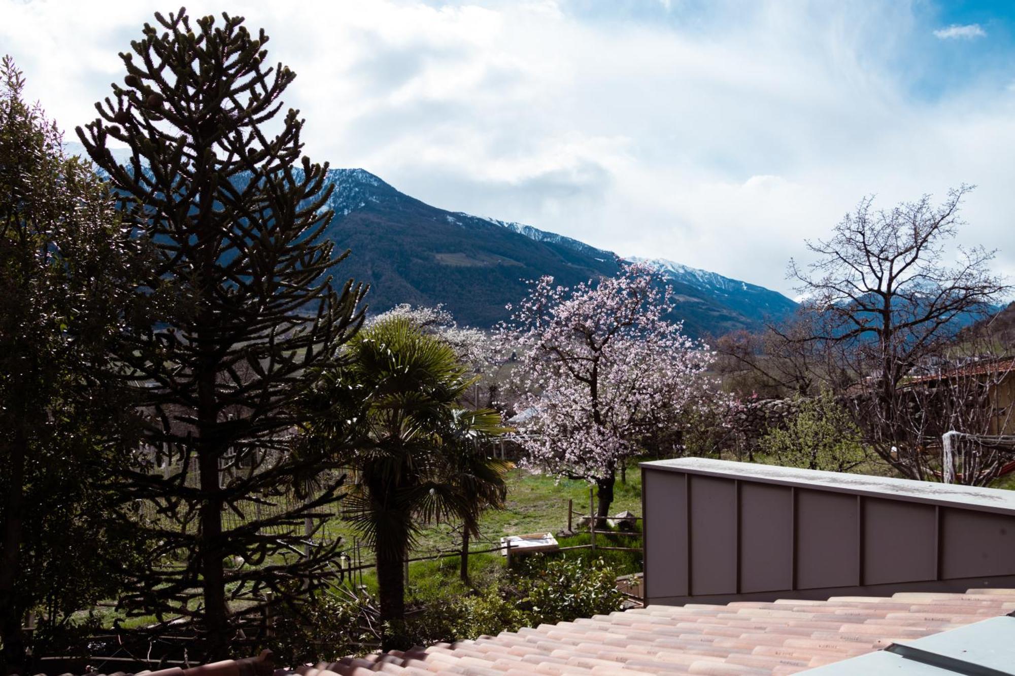 Garni Unterwegguetl Bed & Breakfast Натурно Екстериор снимка