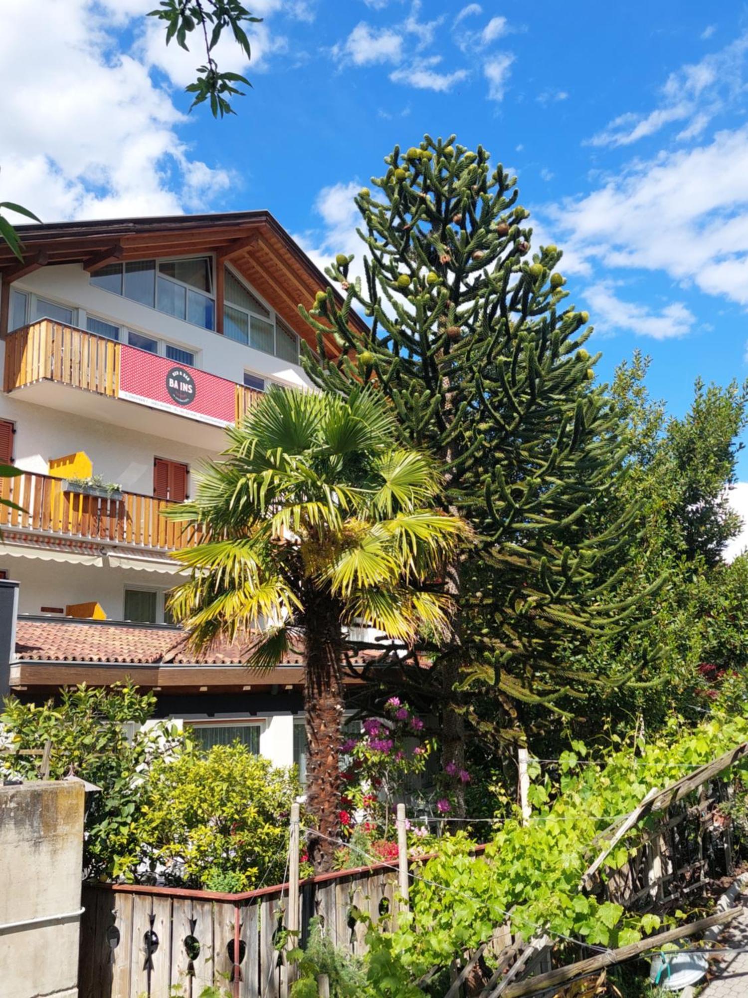 Garni Unterwegguetl Bed & Breakfast Натурно Екстериор снимка