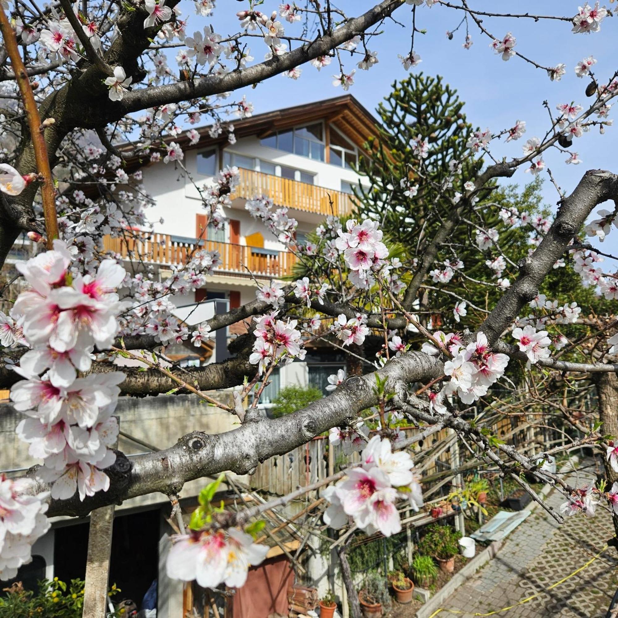Garni Unterwegguetl Bed & Breakfast Натурно Екстериор снимка